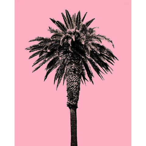 Palm Tree 1996 (Pink) Gold Ornate Wood Framed Art Print with Double Matting by Asla, Erik