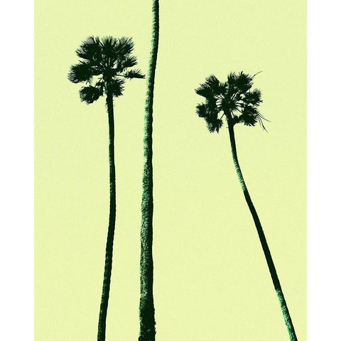 Palm Trees 2000 (Cyan) White Modern Wood Framed Art Print by Asla, Erik