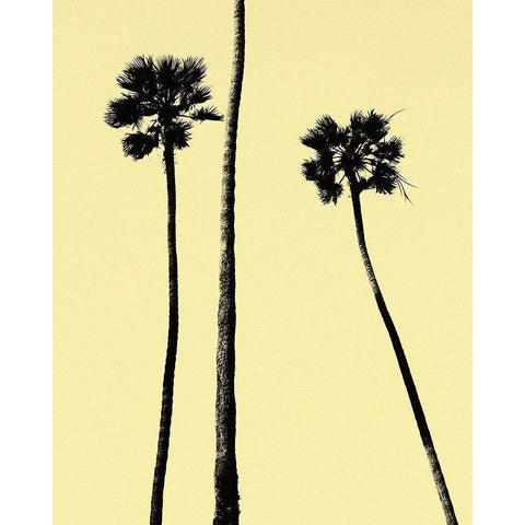 Palm Trees 2000 (Yellow) Black Modern Wood Framed Art Print by Asla, Erik