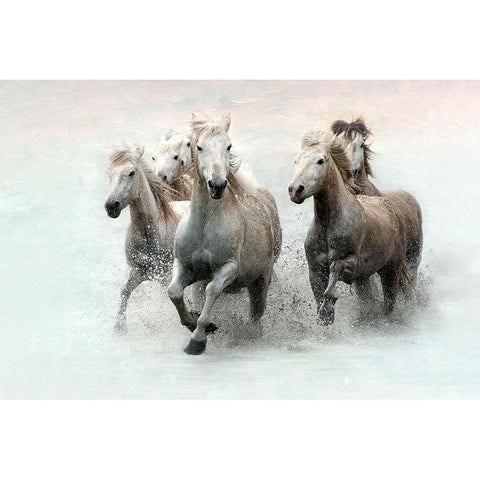 Run and Splash White Modern Wood Framed Art Print by Asimow, Merrie