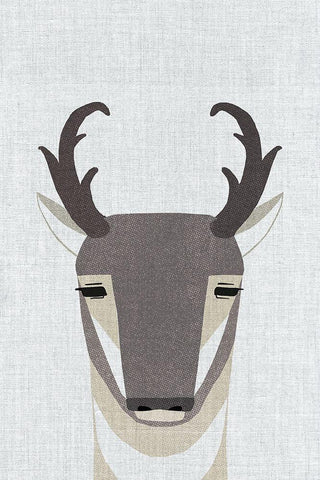 Pronghorn Antelope White Modern Wood Framed Art Print with Double Matting by Annie Bailey Art