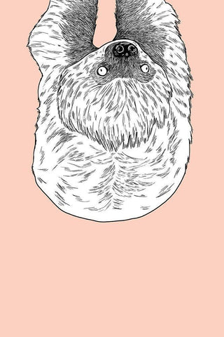 Sloth Black Ornate Wood Framed Art Print with Double Matting by Annie Bailey Art