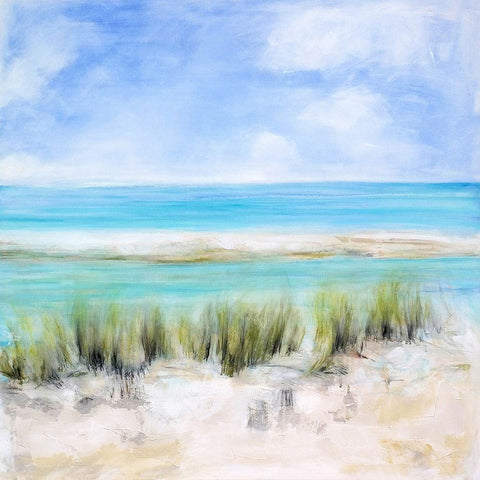 Captiva Island Black Ornate Wood Framed Art Print with Double Matting by Apperlo, Mila