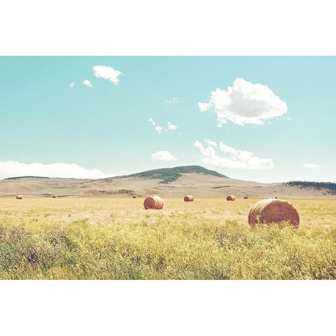 A Day in the Fields Gold Ornate Wood Framed Art Print with Double Matting by Annie Bailey Art