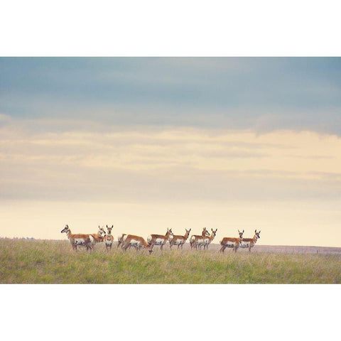 Strength in Numbers Black Modern Wood Framed Art Print by Annie Bailey Art