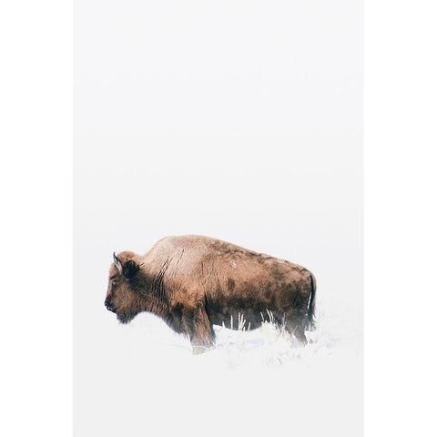 Waiting White Modern Wood Framed Art Print by Annie Bailey Art