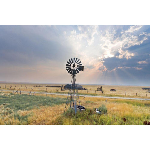 Windmill Sunset Black Modern Wood Framed Art Print with Double Matting by Annie Bailey Art