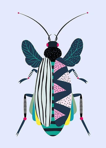 Beetle White Modern Wood Framed Art Print with Double Matting by Ayse