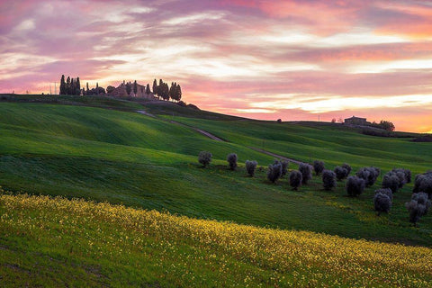 Tuscany Palette White Modern Wood Framed Art Print with Double Matting by Artemiadi, Dora