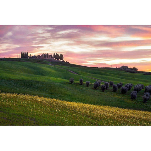 Tuscany Palette Gold Ornate Wood Framed Art Print with Double Matting by Artemiadi, Dora