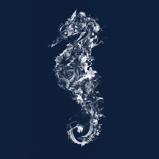Image Only