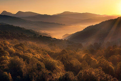 Going Back White Modern Wood Framed Art Print with Double Matting by Artemiadi, Dora