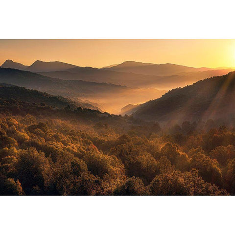 Going Back Gold Ornate Wood Framed Art Print with Double Matting by Artemiadi, Dora