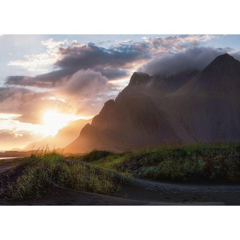 Warmth of The Arctic Gold Ornate Wood Framed Art Print with Double Matting by Artemiadi, Dora