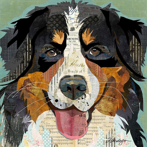 Bernese White Modern Wood Framed Art Print with Double Matting by Anderson, Traci