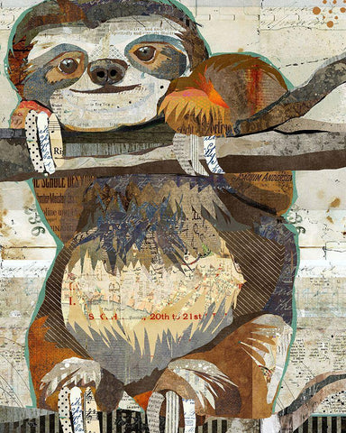 Sloth White Modern Wood Framed Art Print with Double Matting by Anderson, Traci