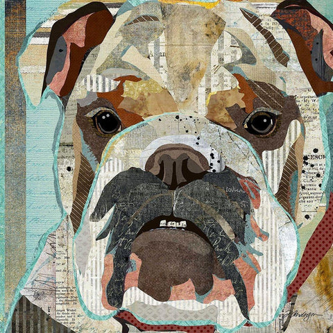 English Bulldog White Modern Wood Framed Art Print with Double Matting by Anderson, Traci