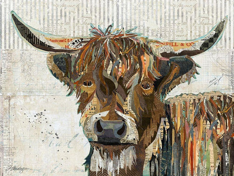 Highland Cow White Modern Wood Framed Art Print with Double Matting by Anderson, Traci