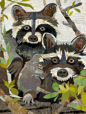 Raccoons Black Ornate Wood Framed Art Print with Double Matting by Anderson, Traci