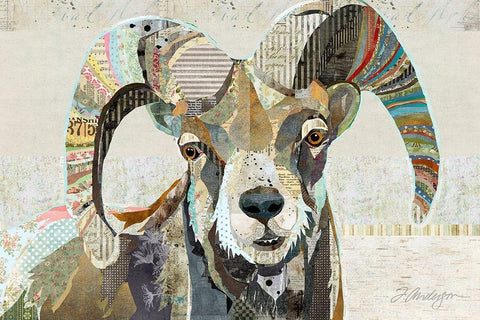 Wild Bighorn Sheep White Modern Wood Framed Art Print with Double Matting by Anderson, Traci