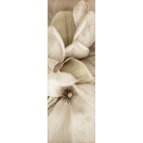 Florison - 70 Black Modern Wood Framed Art Print with Double Matting by Blaustein, Alan