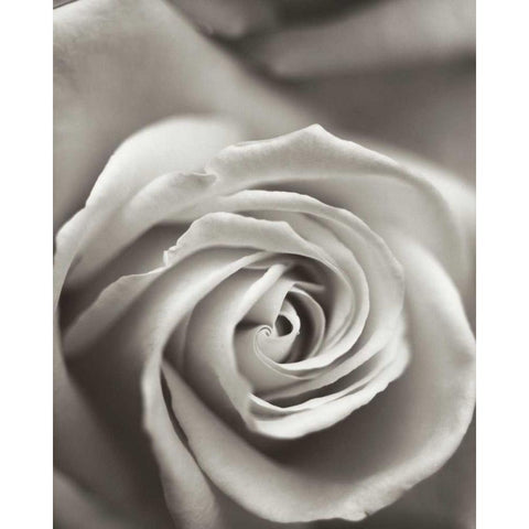 Florison - 12 Black Modern Wood Framed Art Print with Double Matting by Blaustein, Alan