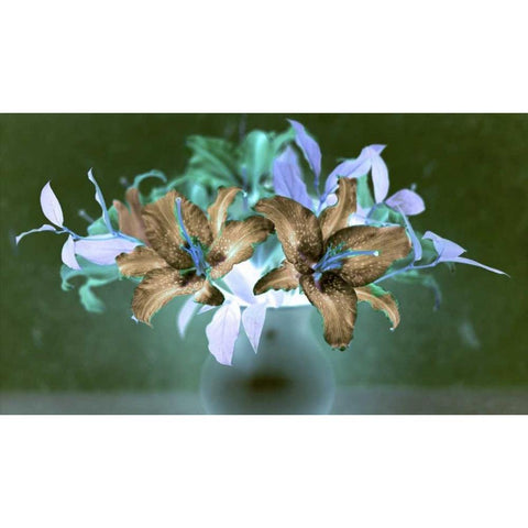 Floral Color - 20 Black Modern Wood Framed Art Print by Blaustein, Alan