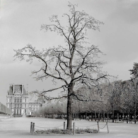 Paris - 22 White Modern Wood Framed Art Print with Double Matting by Blaustein, Alan