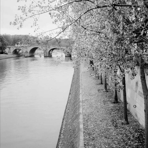 Paris - 10 White Modern Wood Framed Art Print by Blaustein, Alan