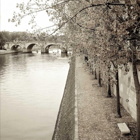 Sepia-Promenade Seine - 2 White Modern Wood Framed Art Print by Blaustein, Alan