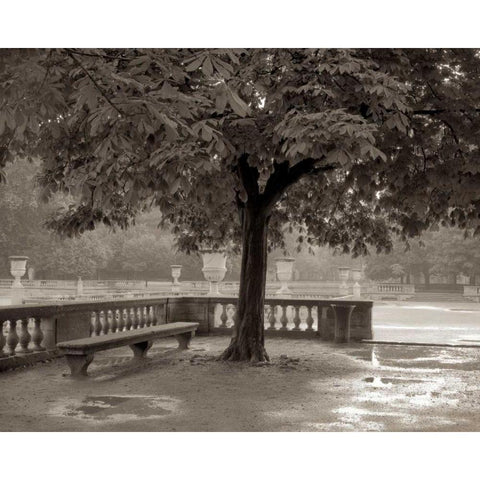 Banc de Jardin - 65 White Modern Wood Framed Art Print by Blaustein, Alan