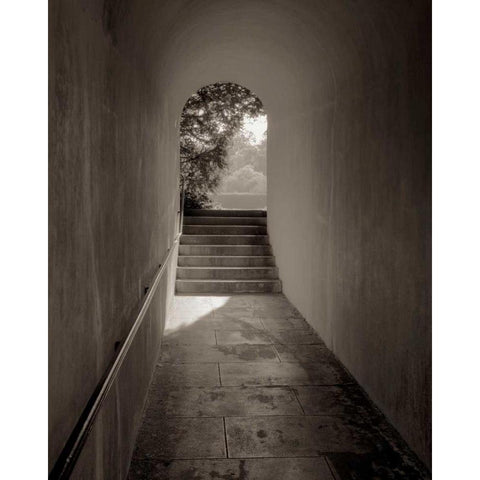 Banc de Jardin - 78 White Modern Wood Framed Art Print by Blaustein, Alan