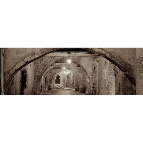 Passageway France - 1 Gold Ornate Wood Framed Art Print with Double Matting by Blaustein, Alan