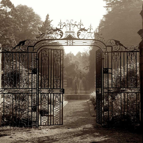 Hampton Gates - 3 Black Ornate Wood Framed Art Print with Double Matting by Blaustein, Alan