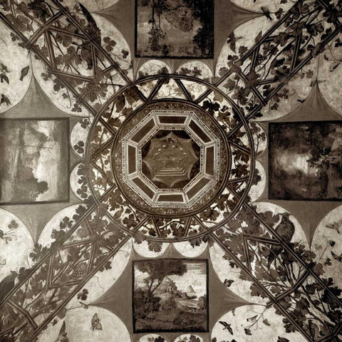 Giardini Italiano - 5 Black Ornate Wood Framed Art Print with Double Matting by Blaustein, Alan