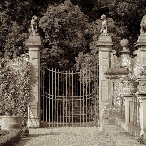 Tuscany - 11 Black Ornate Wood Framed Art Print with Double Matting by Blaustein, Alan