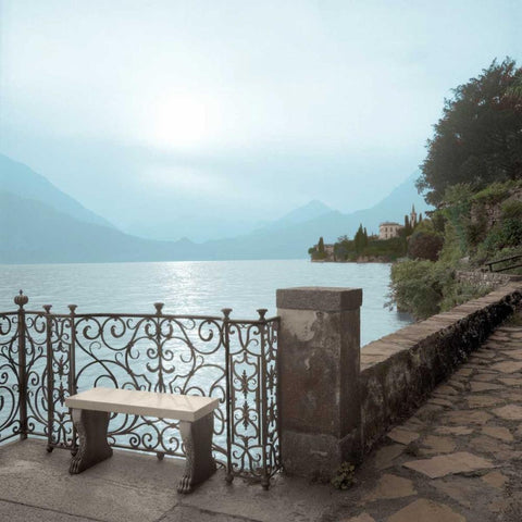 Lake Vista - 1 color Black Ornate Wood Framed Art Print with Double Matting by Blaustein, Alan