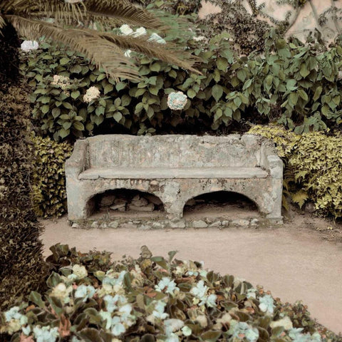 Campagna - 1 color Black Ornate Wood Framed Art Print with Double Matting by Blaustein, Alan