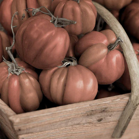 Marketplace - 16 White Modern Wood Framed Art Print with Double Matting by Blaustein, Alan