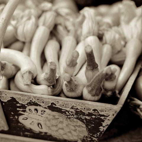 Marketplace - 25 White Modern Wood Framed Art Print by Blaustein, Alan