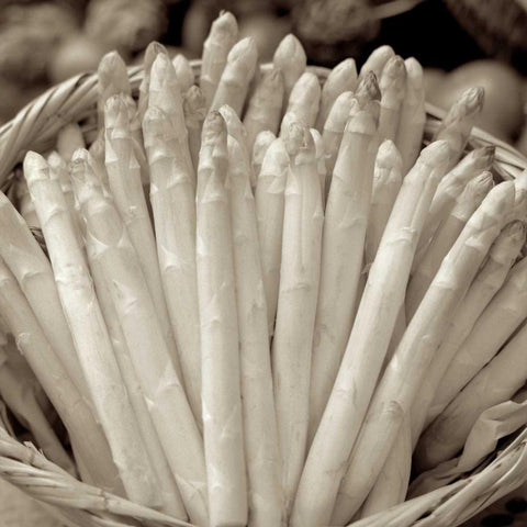 Marketplace - 24 Gold Ornate Wood Framed Art Print with Double Matting by Blaustein, Alan