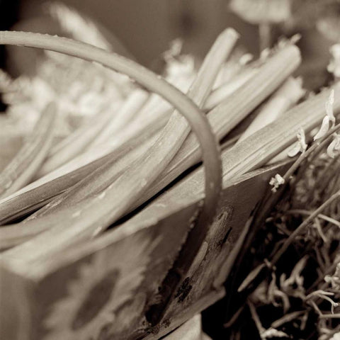 Marketplace - 22 White Modern Wood Framed Art Print with Double Matting by Blaustein, Alan