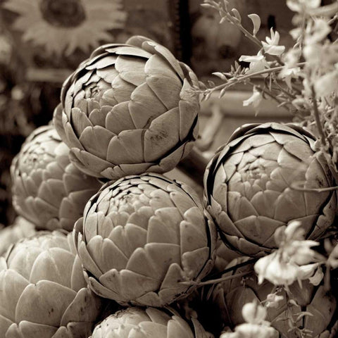 Marketplace - 21 White Modern Wood Framed Art Print with Double Matting by Blaustein, Alan