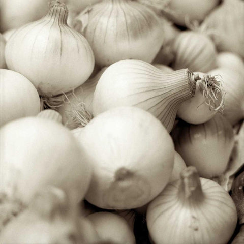 Marketplace - 20 Black Modern Wood Framed Art Print with Double Matting by Blaustein, Alan