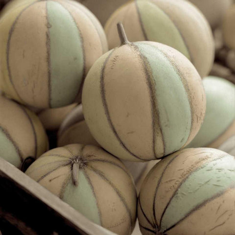 Marketplace - 10 Black Modern Wood Framed Art Print with Double Matting by Blaustein, Alan