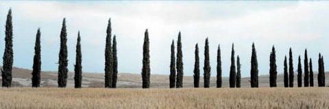 Val dÃ¢â‚¬â„¢Orcia Pano - 5 White Modern Wood Framed Art Print with Double Matting by Blaustein, Alan