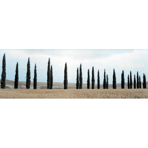 Val dÃ¢â‚¬â„¢Orcia Pano - 5 White Modern Wood Framed Art Print by Blaustein, Alan