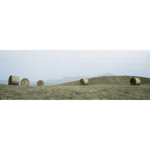 Haystacks Tuscany - 1 White Modern Wood Framed Art Print by Blaustein, Alan