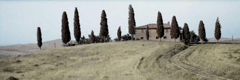 Val dÃ¢â‚¬â„¢Orcia Pano - 1 Black Ornate Wood Framed Art Print with Double Matting by Blaustein, Alan