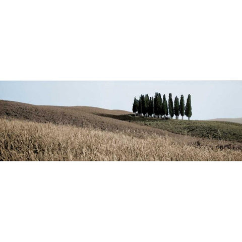 Val dÃ¢â‚¬â„¢Orcia Pano - 3 Gold Ornate Wood Framed Art Print with Double Matting by Blaustein, Alan